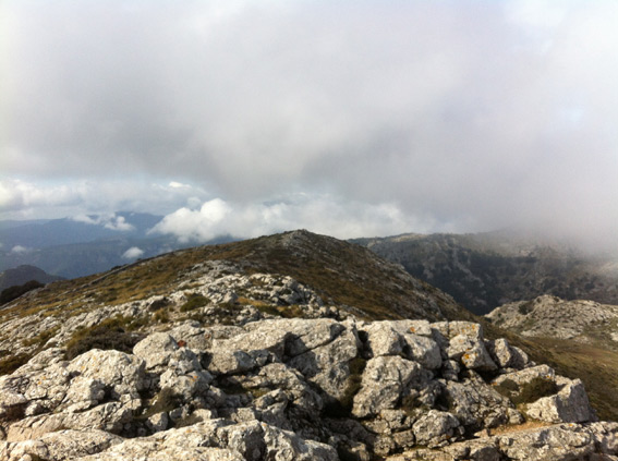 Pujada al Teix